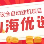 山海优选独家全自动协议挂机项目 单号利润300+多号多撸无限做号-梦帆创业网