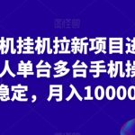 苹果手机挂机拉新项目进阶版模式，单人单台多台手机操作长期稳定，月入10000+-梦帆创业网