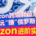 ozon跨境新蓝海玩“赚”俄罗斯，ozon进阶实操训练营-梦帆创业网