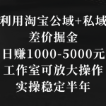 利用淘宝公域+私域差价掘金，日赚1000-5000元，工作室可放大操作，实操…-梦帆创业网