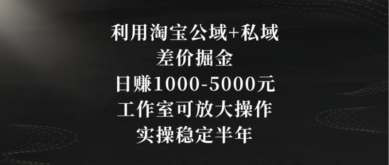利用淘宝公域+私域差价掘金，日赚1000-5000元，工作室可放大操作，实操…-梦帆创业网