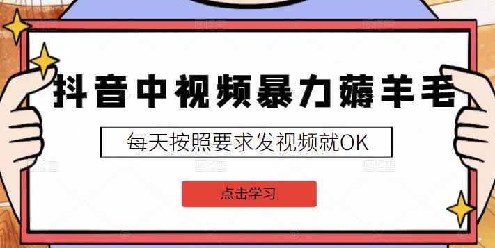 2022抖音中视频暴力薅羊毛白嫖项目：新号每天20块，老号几天几百块，可多号￼-梦帆创业网