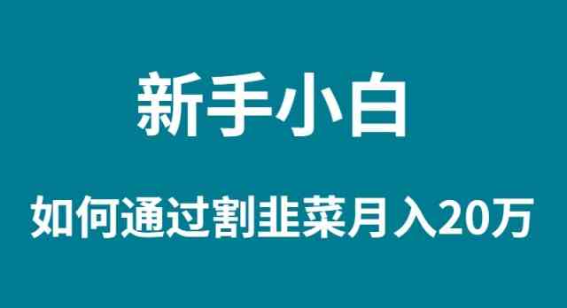 （9308期）新手小白如何通过割韭菜月入 20W-梦帆创业网