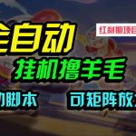 （9991期）全自动挂机撸金，纯撸羊毛，单号20米，有微信就行，可矩阵批量放大-梦帆创业网