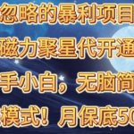 （10245期）被忽略的暴利项目！磁力聚星代开通捡钱模式，轻松月入五六千-梦帆创业网