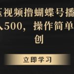 靠解压视频撸蝴蝶号播放收益，轻松日入500，操作简单，包过原创【揭秘】-梦帆创业网