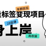 抖音流量标签变现项目，抖音创业粉轻松转化，单价高收益简单-梦帆创业网