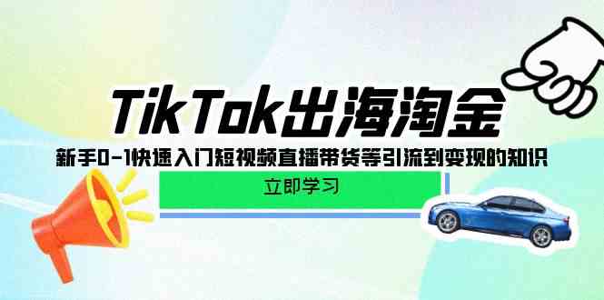 （10035期）TikTok-出海淘金，新手0-1快速入门短视频直播带货等引流到变现的知识-梦帆创业网