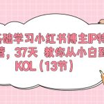 （10764期）0基础学习小红书博主IP特训营，37天 教你从小白到KOL（13节）-梦帆创业网
