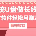 用系统U盘做长线项目，推广软件轻松月赚万元-梦帆创业网