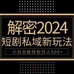 （9951期）10分钟教会你2024玩转短剧私域变现，小白也能轻松日入500+-梦帆创业网