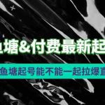 （9507期）2024鱼塘&付费最新起号方法：鱼塘起号能不能一起拉爆直播间-梦帆创业网