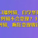博主口播剪辑，自学坚持不下去？会剪辑不会变现？十天学会剪辑，疯狂变现收钱!-梦帆创业网