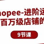 （10083期）Shopee-进阶运营：打造百万级店铺的技巧（9节课）-梦帆创业网