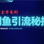 （12887期）花重金学来的闲鱼引流秘技！轻松日吸300+精准创业粉，每天躺赚5000+，2…-梦帆创业网