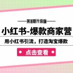 小红书-爆款商家营【第18期升级版】用小红书引流，打造淘宝爆款（16节课）-梦帆创业网