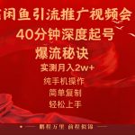 闲鱼暴力引流推广视频会员，能做到日入2W+，操作简单-梦帆创业网