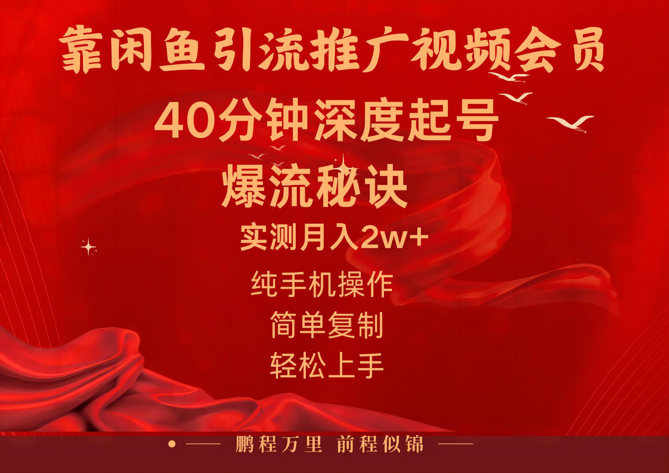 闲鱼暴力引流推广视频会员，能做到日入2W+，操作简单-梦帆创业网