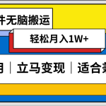 低密度新赛道 视频无脑搬 一天1000+几分钟一条原创视频 零成本零门槛超简单-梦帆创业网