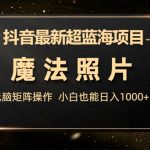 抖音最新超蓝海项目，魔法照片，无脑矩阵操作，小白也能日入1000+-梦帆创业网
