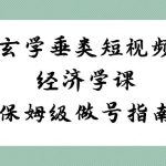 玄学 垂类短视频经济学课，保姆级做号指南（8节课）-梦帆创业网