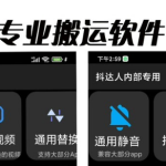 对外收费699抖音傻瓜式一键搬运,起号专用5分钟一个视频《软件+详细教程》-梦帆创业网