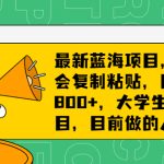最新蓝海项目，只要会复制粘贴，日入800+，大学生考研项目，目前做的人极少-梦帆创业网