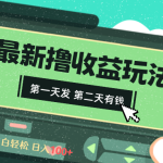 2024最新撸视频收益玩法，第一天发，第二天就有钱-梦帆创业网