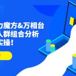 达摩盘引力魔方&万相台投放课：人群组合分析，高效投放实操！-梦帆创业网