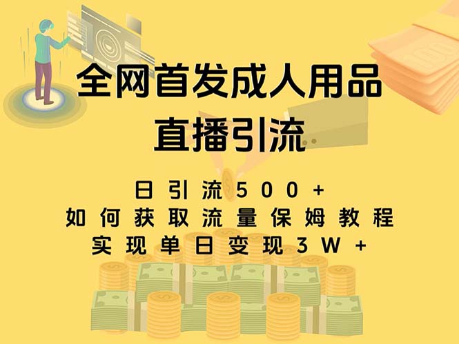 最新全网独创首发，成人用品直播引流获客暴力玩法，单日变现3w保姆级教程-梦帆创业网