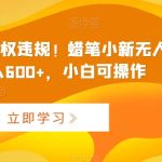 最新快手无版权违规！蜡笔小新无人直播，日入600+，小白可操作-梦帆创业网