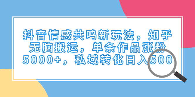 抖音情感共鸣新玩法，知乎无脑搬运，单条作品涨粉5000+，私域转化日入500-梦帆创业网