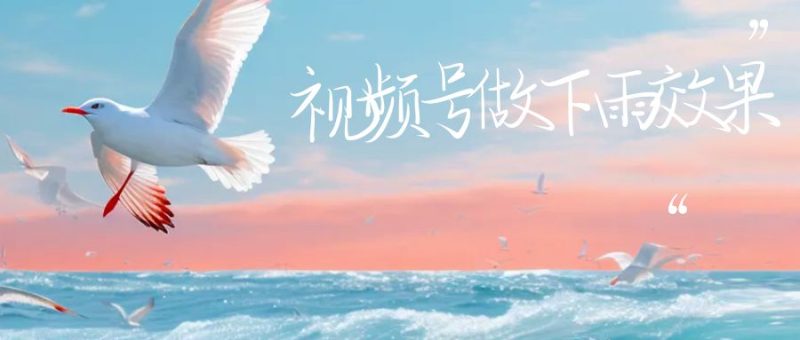 视频号做下雨视频一个账号一周涨粉10W+年入100w-梦帆创业网