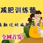 线上减肥训练营，足不出户，仅靠拉几个社群，发几条朋友圈，月实现入五位-梦帆创业网