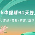 TikTok中视频-30天线上陪跑班：注册/养号/素材/剪辑/搭建/制作/提现/等等-梦帆创业网