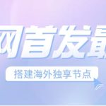全网首发最新海外节点搭建，独享梯子安全稳定运营海外短视频，日入1000+-梦帆创业网