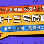 爆火飞跃十三号房半无人直播，一场直播上千人，日入过万！（附软件）-梦帆创业网