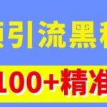 视频引流黑科技玩法，不花钱推广，视频播放量达到100万+，每日100+精准客源-梦帆创业网