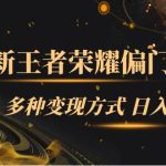 全新王者荣耀偏门玩法，多种变现方式 日入1000+小白闭眼入（附1000G教材）-梦帆创业网