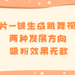 图片一键生成跳舞视频，两种发展方向，吸粉效果无敌-梦帆创业网