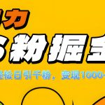 单人单机日引千粉，变现1000+，S粉流量掘金计划攻略！-梦帆创业网