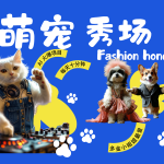 酷飒动物跳舞走秀  时尚喵FASHION汪 多金小姐姐最爱的 轻松月入破万-梦帆创业网