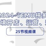 2024-TEMU拼多多·跨境开店、运营、选品（25节视频课）-梦帆创业网