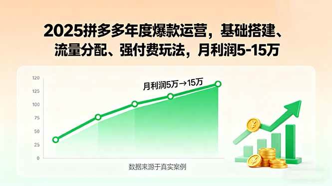 （15973期）2025拼多多年度爆款运营，基础搭建、流量分配、强付费玩法，月利润5-15万-梦帆创业网