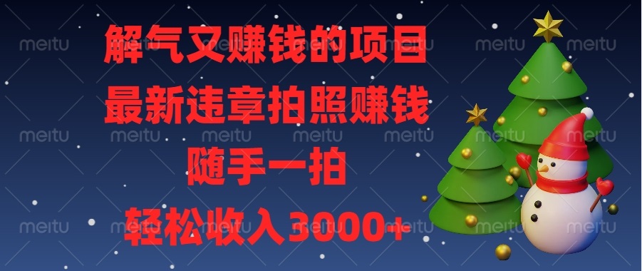 （13804期）解气又赚钱的项目，最新违章拍照赚钱，随手一拍，轻松收入3000+-梦帆创业网
