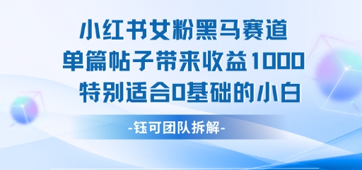 小红书女粉黑马赛道单篇帖子带来收益1k+，特别适合0基础的小白-梦帆创业网
