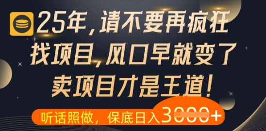 什么？25年你还在疯狂找项目做，醒醒吧，看完这些你全都懂了【揭秘】-梦帆创业网