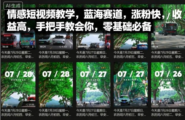 情感短视频教学，蓝海赛道，涨粉快，收益高，手把手教会你，零基础必备-梦帆创业网