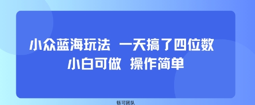 小众蓝海玩法 一天搞了四位数 小白可做 操作简单-梦帆创业网