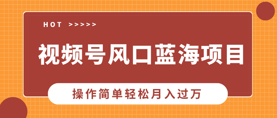 （13945期）视频号风口蓝海项目，中老年人的流量密码，操作简单轻松月入过万-梦帆创业网